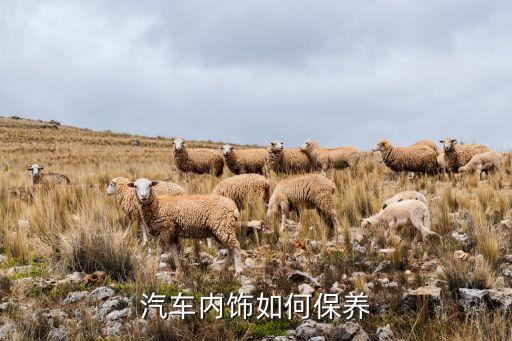 汽车内饰空间大怎么做保养，汽车内饰如何养护
