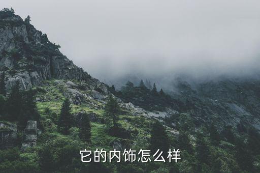 它的内饰怎么样