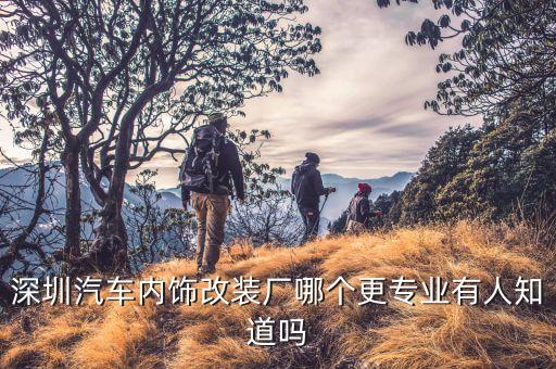 深圳汽车内饰改装厂哪个更专业有人知道吗