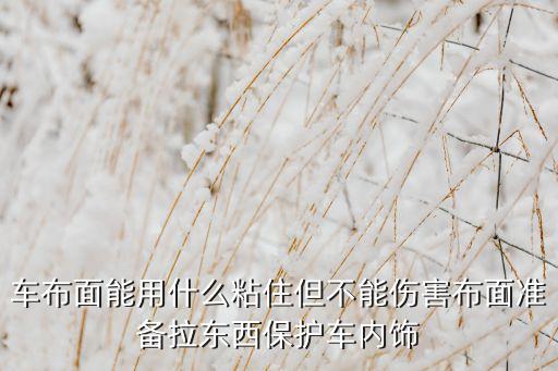 汽车内饰布怎么保护，车布面能用什么粘住但不能伤害布面准备拉东西保护车内饰