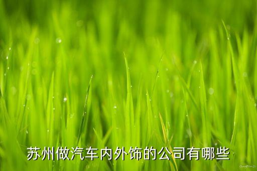 苏州石牌汽车内饰厂怎么样，苏州做汽车内外饰的公司有哪些