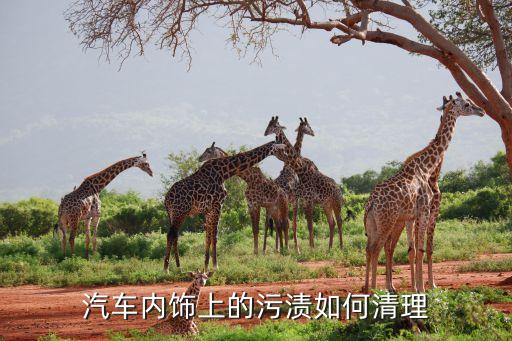 汽车内饰上的污渍如何清理