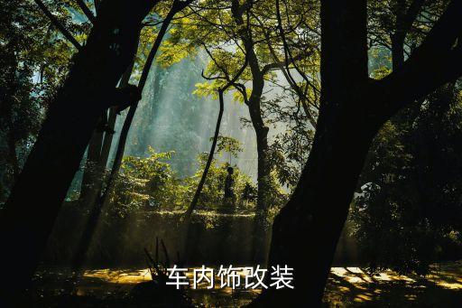 怎么改变汽车内饰，汽车内饰怎么改色