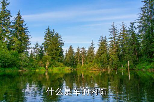 什么是车的内饰