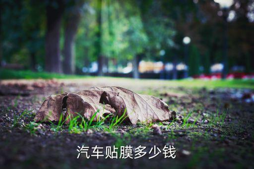 汽车贴膜多少钱