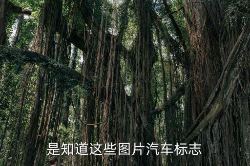 汽车标识标牌大全图解，是知道这些图片汽车标志