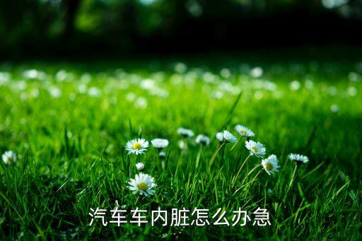 汽车车内脏怎么办急