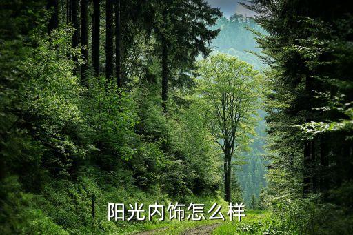 阳光内饰怎么样