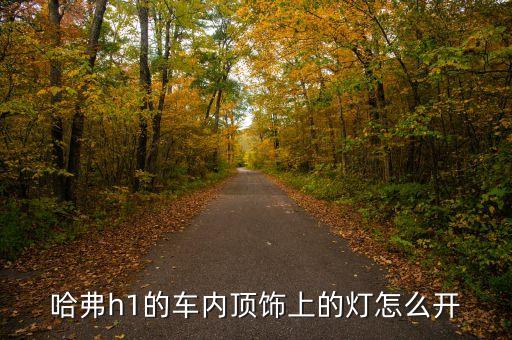 哈弗h1的车内顶饰上的灯怎么开