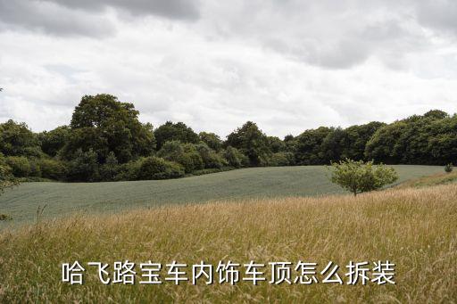 哈飞路宝车内饰车顶怎么拆装