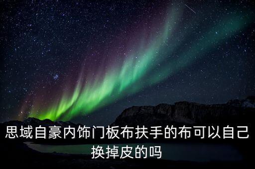 思域自豪内饰门板布扶手的布可以自己换掉皮的吗