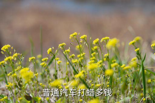 普通汽车打蜡多钱