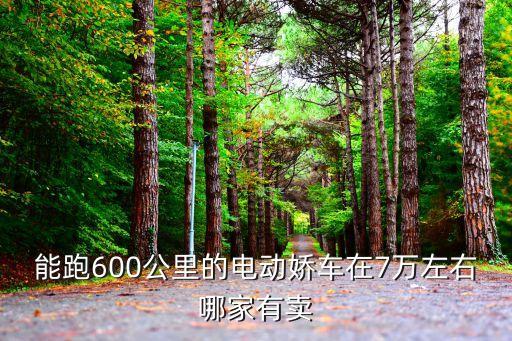 能跑600公里的电动娇车在7万左右哪家有卖