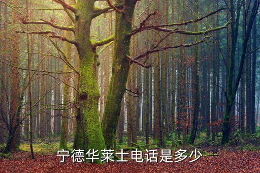 宁德华莱士电话是多少
