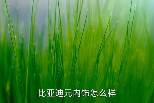 比亚迪元内饰怎么样
