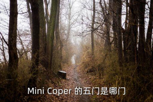Mini Coper 的五门是哪门