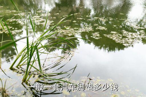 一般一套汽车脚垫多少钱