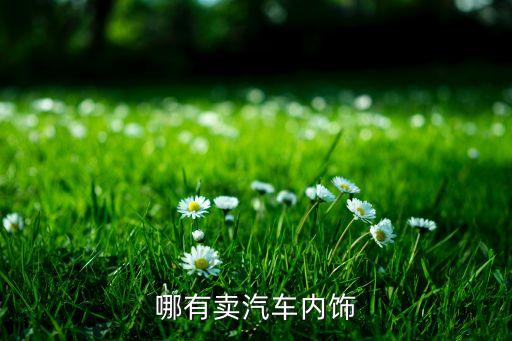哪有卖汽车内饰