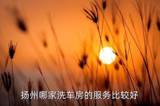 扬州哪里汽车内饰清洗的好，扬州汽车美容去哪比较好