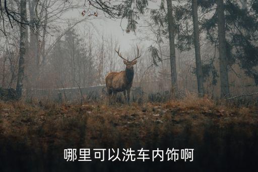 哪里可以洗车内饰啊