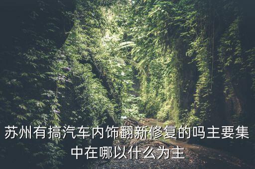 苏州有搞汽车内饰翻新修复的吗主要集中在哪以什么为主