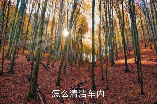 怎么清洁车内