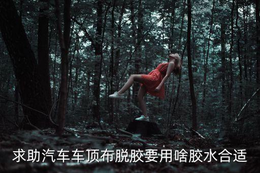 求助汽车车顶布脱胶要用啥胶水合适