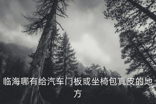临海哪有给汽车门板或坐椅包真皮的地方