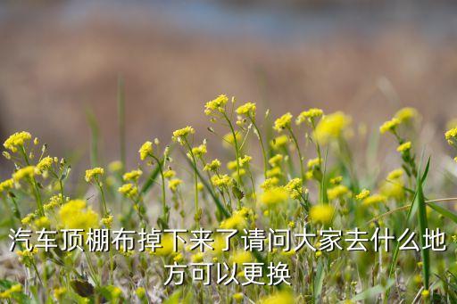 汽车顶棚布更换，汽车顶棚布掉下来了请问大家去什么地方可以更换