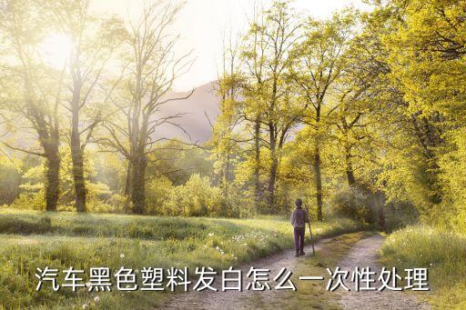 汽车黑色塑料发白怎么一次性处理
