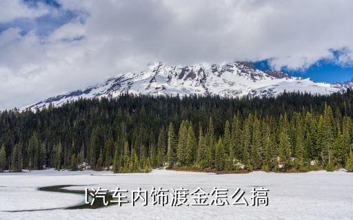 l汽车内饰渡金怎么搞