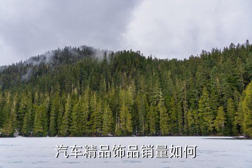 汽车精品饰品销量如何