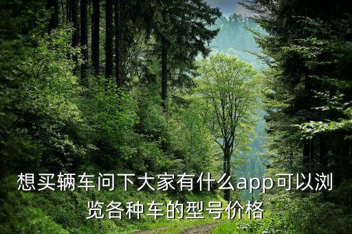 看新车价格用什么软件，查新车报价哪个app最准