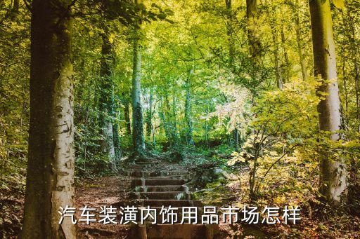 汽车装潢内饰用品市场怎样