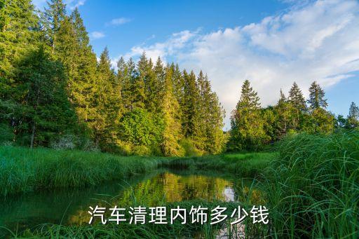 汽车清理内饰多少钱