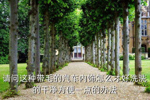 请问这种带毛的汽车内饰怎么才好洗洗的干净方便一点的办法
