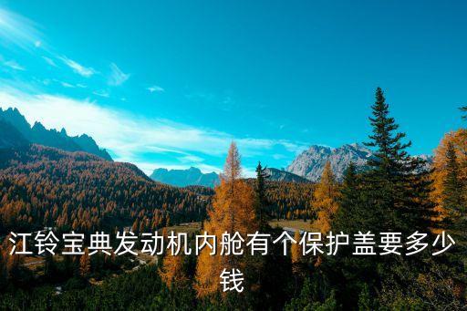 汽车内饰保护罩多少钱，汽车保护罩子要多钱