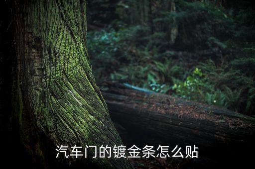 汽车门边装饰条怎么安装视频，汽车门的镀金条怎么贴