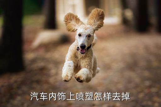 汽车内饰上喷塑怎样去掉