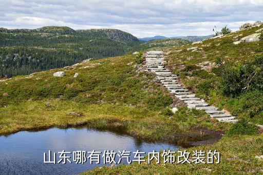 山东哪有做汽车内饰改装的