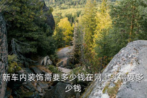 新车内装饰需要多少钱在网上买需要多少钱