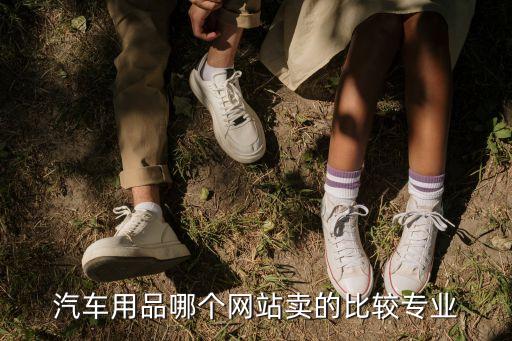 汽车用品哪个网站卖的比较专业
