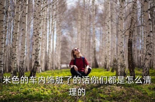 米色的车内饰脏了的话你们都是怎么清理的