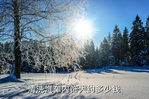 清洗汽车内饰大约多少钱