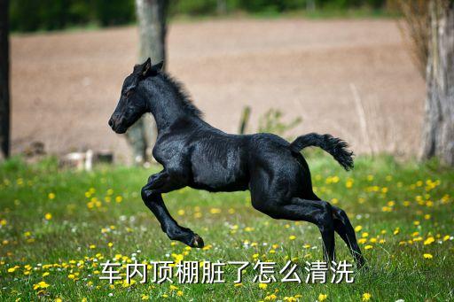 车内顶棚脏了怎么清洗
