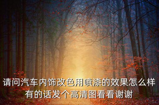 请问汽车内饰改色用喷漆的效果怎么样有的话发个高清图看看谢谢