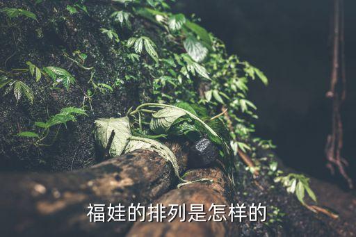 福娃的排列是怎样的