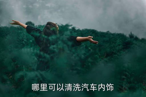 顺平哪里汽车内饰清洗的好，哪家店清洗内饰好