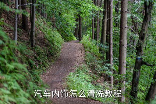 车辆内饰清洗，汽车内室清洗