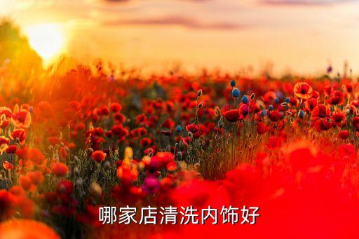 哪家店清洗内饰好